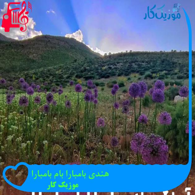 آهنگ هندی بامبارا بام بامبارا از موزیک کار + متن ترانه