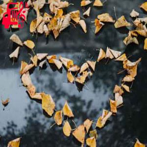دانلود آهنگ آهنگ چه خشه من ره شیراز سایپا برونی از با صدای مرد + متن ترانه