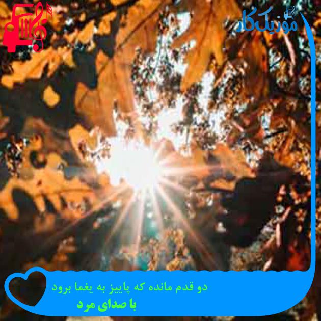 آهنگ دو قدم مانده که پاییز به یغما برود از با صدای مرد + متن ترانه
