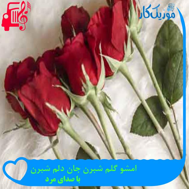 آهنگ امشو گلم شبرن جان دلم شبرن از با صدای مرد + متن ترانه