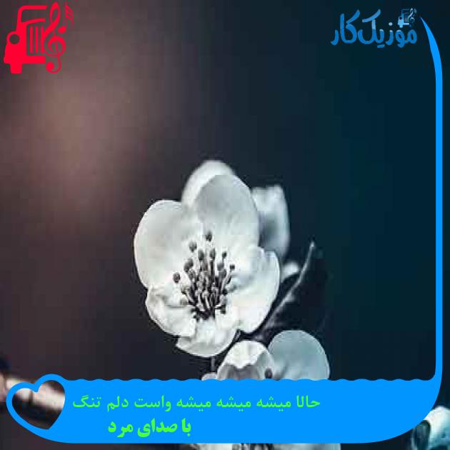آهنگ حالا میشه میشه میشه واست دلم تنگ از با صدای مرد + متن ترانه