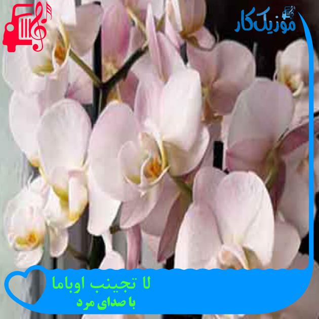 آهنگ لا تجینب اوباما از با صدای مرد + متن ترانه