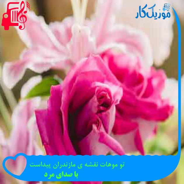 آهنگ تو موهات نقشه ی مازندران پیداست از با صدای مرد + متن ترانه