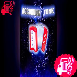 کاور آهنگ ACCORDION FUNK از SAPFIR اثر SAPFIR