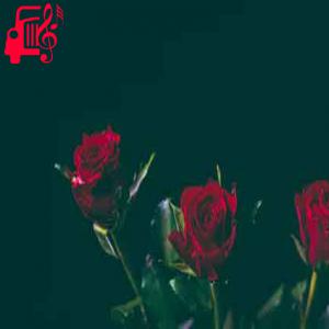 دانلود آهنگ آهنگ سبزه جان نازنینم نازنینم دلبرم افغانی از با صدای مرد + متن ترانه