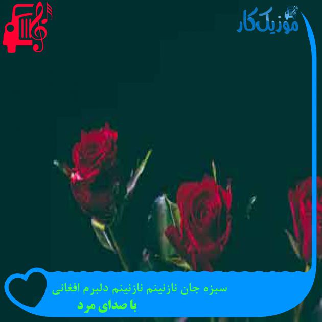 آهنگ سبزه جان نازنینم نازنینم دلبرم افغانی از با صدای مرد + متن ترانه