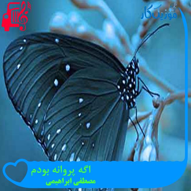 آهنگ اگه پروانه بودم از مصطفی ابراهیمی + متن ترانه آهنگ اگه پروانه بودم از مصطفی ابراهیمی + متن ترانه
