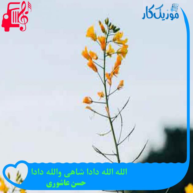 آهنگ الله الله دادا شاهی والله دادا از حسن عاشوری + متن ترانه آهنگ الله الله دادا شاهی والله دادا از حسن عاشوری + متن ترانه