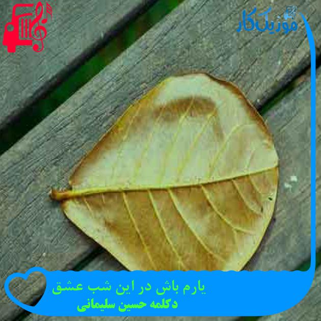 آهنگ یارم باش در این شب عشق از دکلمه حسین سلیمانی + متن ترانه آهنگ یارم باش در این شب عشق از دکلمه حسین سلیمانی + متن ترانه