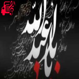 دانلود آهنگ آهنگ الوداع الوداع امشب شب عاشوراست از ایمان میرشکاری + متن ترانه