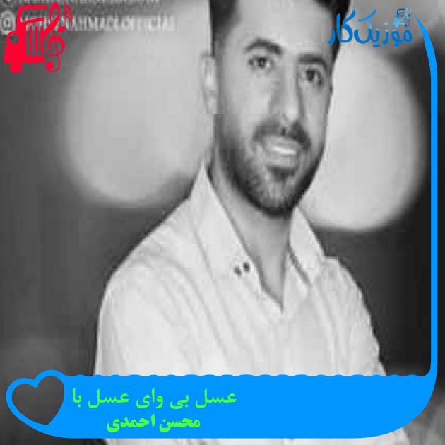 آهنگ عسل بی وای عسل با از محسن احمدی + متن ترانه آهنگ عسل بی وای عسل با از محسن احمدی + متن ترانه