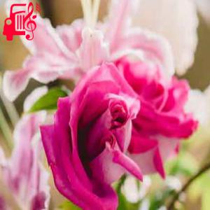 دانلود آهنگ آهنگ موزیک کار از با صدای بچه عاشقت شدم رفت دلم دل نمیشه دیگه + متن ترانه