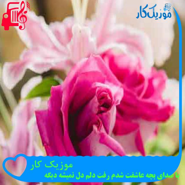 آهنگ موزیک کار از با صدای بچه عاشقت شدم رفت دلم دل نمیشه دیگه + متن ترانه آهنگ موزیک کار از با صدای بچه عاشقت شدم رفت دلم دل نمیشه دیگه + متن ترانه