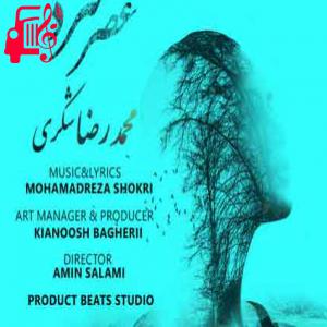 دانلود آهنگ آهنگ من چشمای این رنگی رو دوست دارم از محمدرضا شکری + متن ترانه