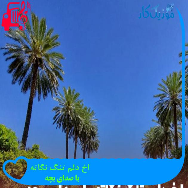 آهنگ اخ دلم تنگ نگاته از با صدای بچه + متن ترانه