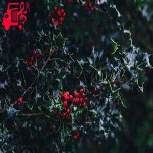 دانلود آهنگ آهنگ بیر گولوشون از ریمیکس با صدای بچه + متن ترانه