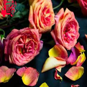دانلود آهنگ آهنگ بدو ناز دل مه ای دختو یار دل مه از با صدای بچه + متن ترانه