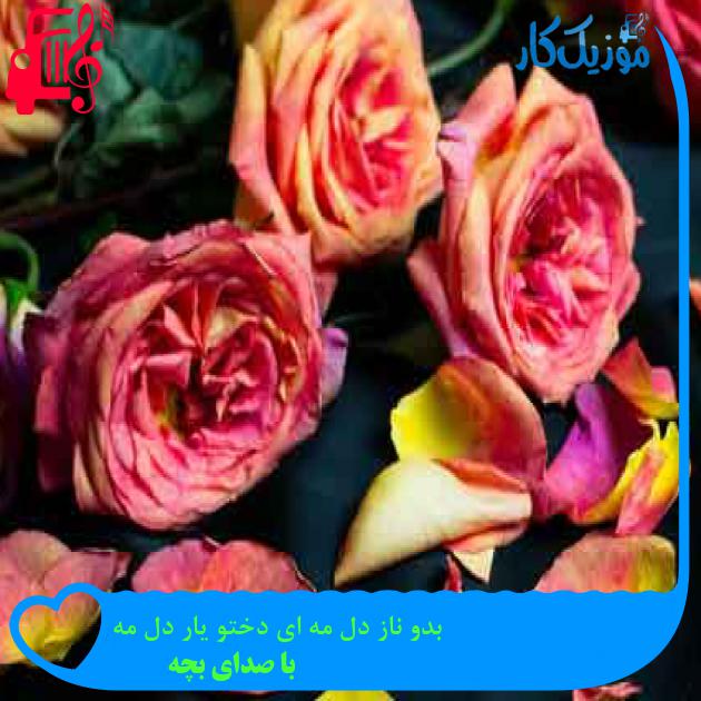 آهنگ بدو ناز دل مه ای دختو یار دل مه از با صدای بچه + متن ترانه