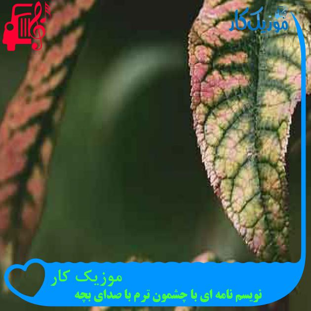 آهنگ موزیک کار از نویسم نامه ای با چشمون ترم با صدای بچه + متن ترانه