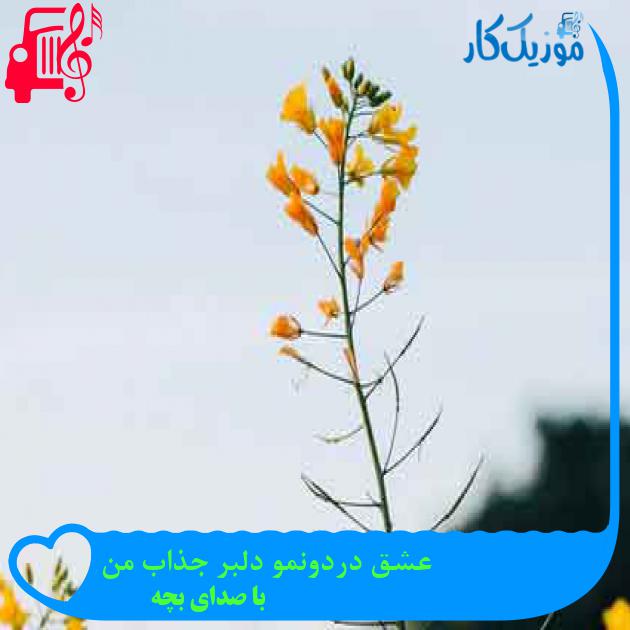 آهنگ عشق دردونمو دلبر جذاب من از با صدای بچه + متن ترانه