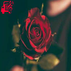 دانلود آهنگ آهنگ زندگیم زندانه از با صدای بچه + متن ترانه