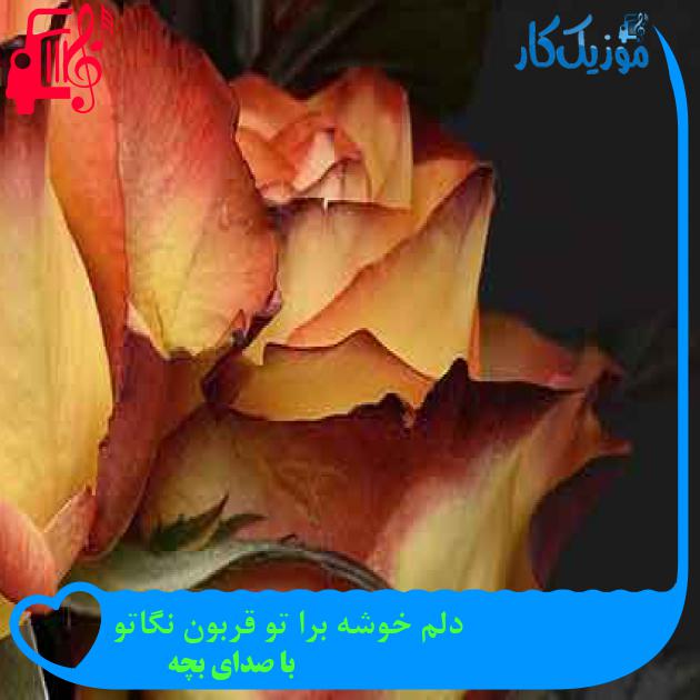 آهنگ دلم خوشه برا تو قربون نگاتو از با صدای بچه + متن ترانه آهنگ دلم خوشه برا تو قربون نگاتو از با صدای بچه + متن ترانه