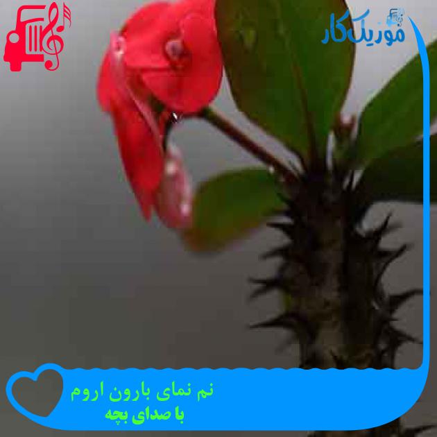 آهنگ نم نمای بارون اروم از با صدای بچه + متن ترانه آهنگ نم نمای بارون اروم از با صدای بچه + متن ترانه