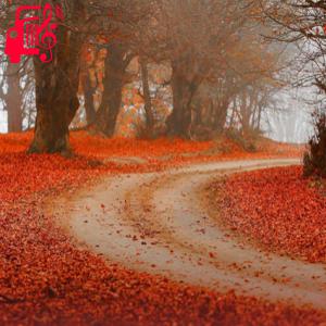 دانلود آهنگ آهنگ ای چرخ گردون دلم را کرده ای خون با صدای بچه از موزیک کار + متن ترانه