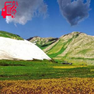 کاور آهنگ همه جنگی دعوایی شرارتی از تمام اجراها + متن ترانه اثر تمام اجراها