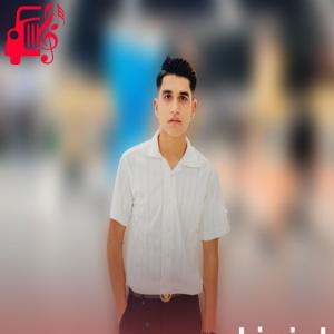 دانلود آهنگ آهنگ بچو ولم که حوصلت نیرم از اصغر رضایی + متن ترانه
