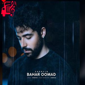 دانلود آهنگ آهنگ بهار اومد از شروین حاجی آقاپور + متن ترانه