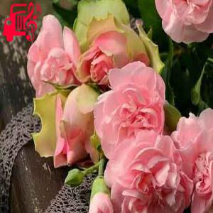 دانلود آهنگ آهنگ یه یاری دارم تیلش کاله از مها بویراحمدی + متن ترانه
