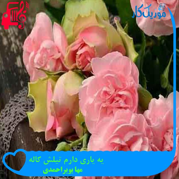 آهنگ یه یاری دارم تیلش کاله از مها بویراحمدی + متن ترانه