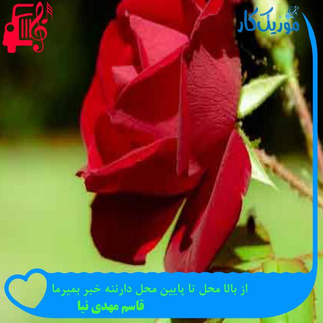 آهنگ از بالا محل تا پایین محل دارننه خبر بمیرما از قاسم مهدی نیا + متن ترانه آهنگ از بالا محل تا پایین محل دارننه خبر بمیرما از قاسم مهدی نیا + متن ترانه
