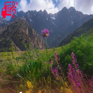 کاور آهنگ درسته بازی خوبه ولی نه با قلب یکی از موزیک کار + متن ترانه اثر موزیک کار