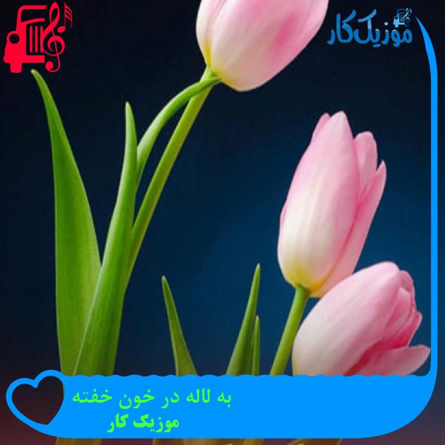 آهنگ به لاله در خون خفته از موزیک کار