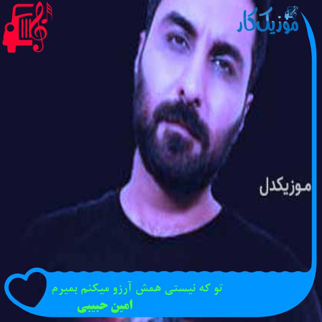 آهنگ تو که نیستی همش آرزو میکنم بمیرم از امین حبیبی + متن ترانه آهنگ تو که نیستی همش آرزو میکنم بمیرم از امین حبیبی + متن ترانه