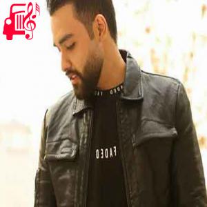 دانلود آهنگ آهنگ بگردم از سهیل مهرزادگان + متن ترانه