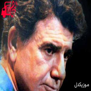 دانلود آهنگ آهنگ بی همزبان از محمدرضا شجریان
