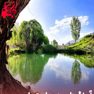 کاور آهنگ دل من سیاست از دل من سیاست + متن ترانه اثر دل من سیاست