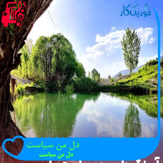 آهنگ دل من سیاست از دل من سیاست + متن ترانه