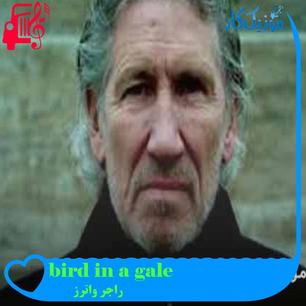 آهنگ bird in a gale از راجر واترز + متن ترانه آهنگ bird in a gale از راجر واترز + متن ترانه