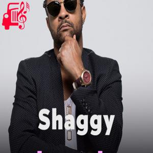 دانلود آهنگ آهنگ mr lover lover از shaggy