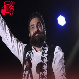 دانلود آهنگ آهنگ بی بهانه در گیسویت گم میشدم کاش از علی زند وکیلی + متن ترانه