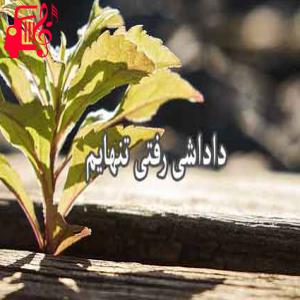 کاور آهنگ بیا داداشی تنهایم از عباس بابایی + متن ترانه اثر عباس بابایی