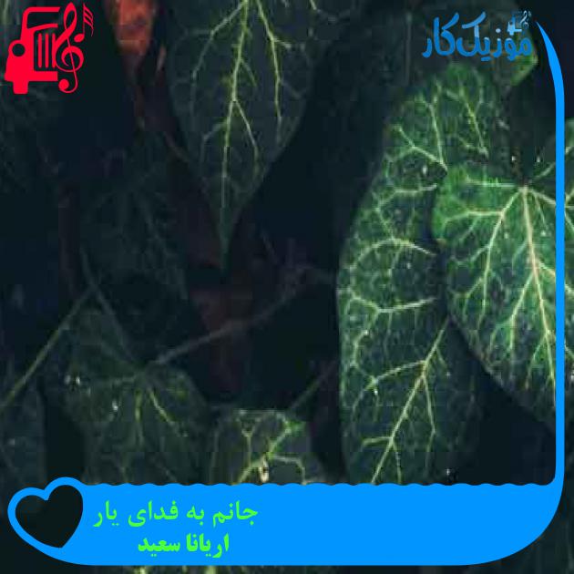 آهنگ جانم به فدای یار از اریانا سعید + متن ترانه آهنگ جانم به فدای یار از اریانا سعید + متن ترانه