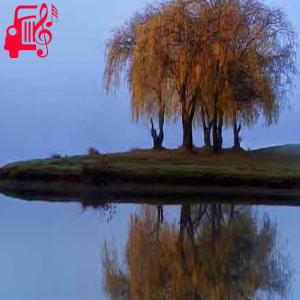 کاور آهنگ در گلستانه چه بوی علفی می آید از شهرام ناظری + متن ترانه اثر شهرام ناظری