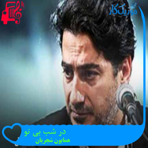 آهنگ در شب بی تو از همایون شجریان + متن ترانه آهنگ در شب بی تو از همایون شجریان + متن ترانه