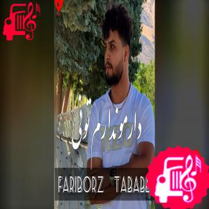دانلود آهنگ آهنگ دارمو ندارم تونی از فریبرز تبابه