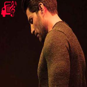 کاور آهنگ زیباترینی تو از رضا ملک زاده + متن ترانه اثر رضا ملک زاده